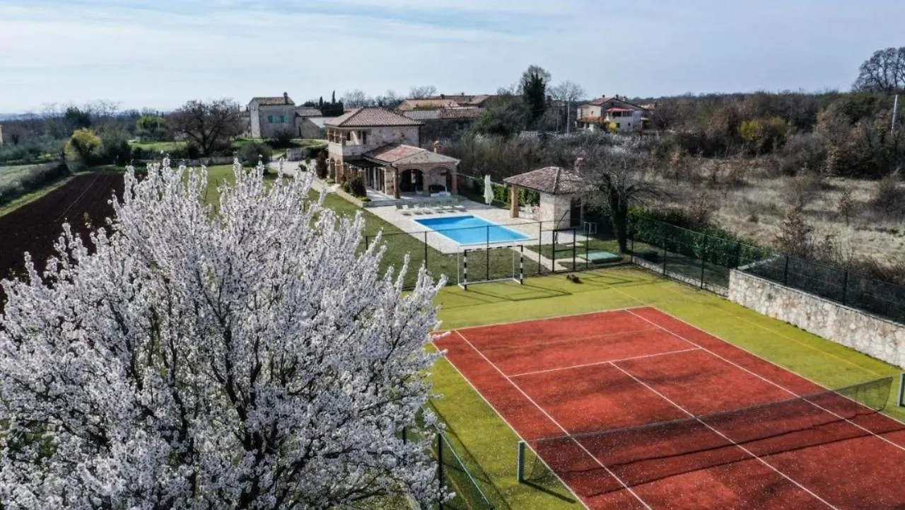 Villa Maslina San Lorenzo Sveti Lovrec Pazenaticki 0*,